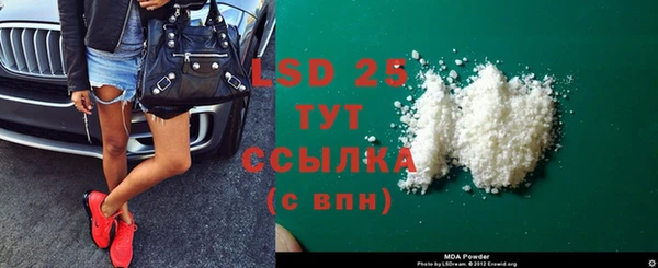 прущие грибы Богородск