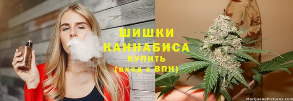 прущие грибы Богородск