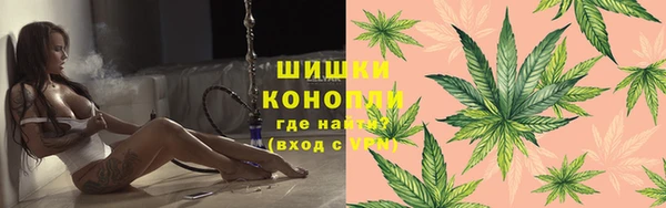 прущие грибы Богородск