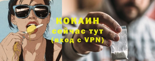 прущий лед Богданович