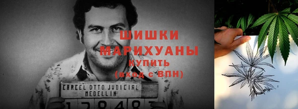 прущие грибы Богородск