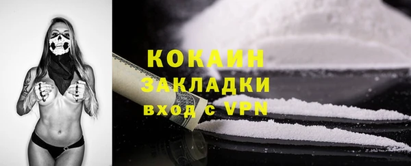 прущие грибы Богородск