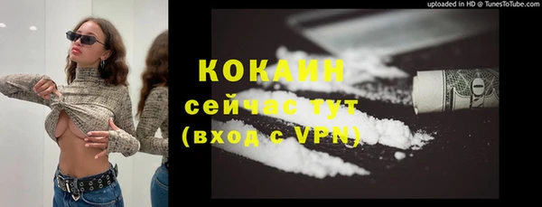 прущий лед Богданович