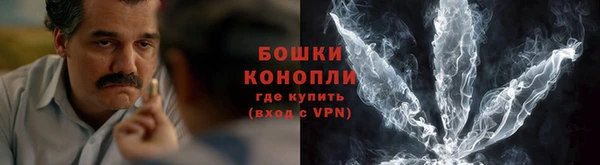 прущий лед Богданович