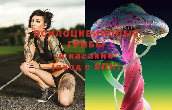 не бодяженный Богородицк
