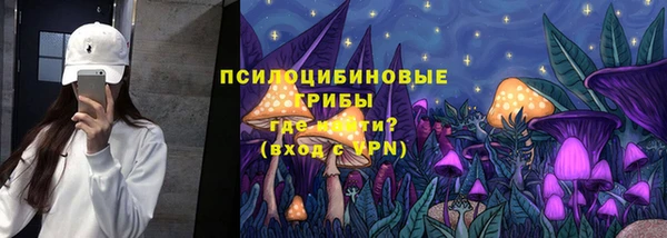 прущие грибы Богородск