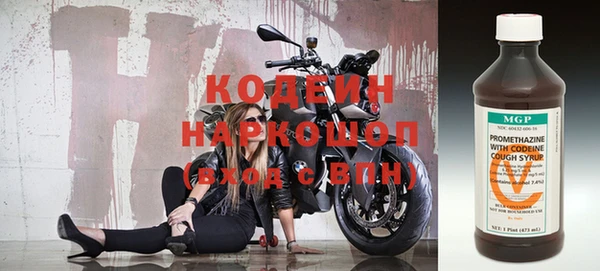 прущие грибы Богородск