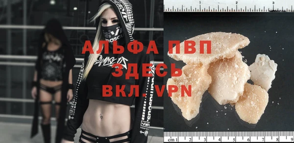 прущий лед Богданович