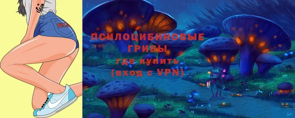прущие грибы Богородск