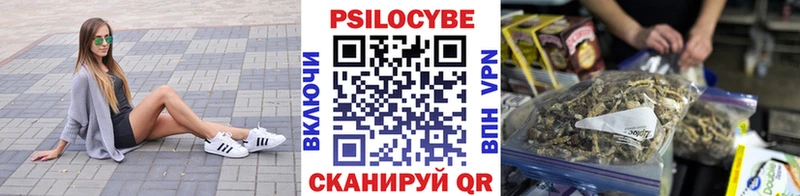 хочу   Дудинка  Галлюциногенные грибы Magic Shrooms 